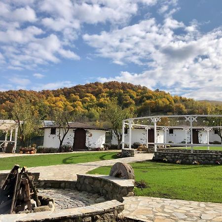 Hôtel Satul Cu Flori à Buzău Extérieur photo
