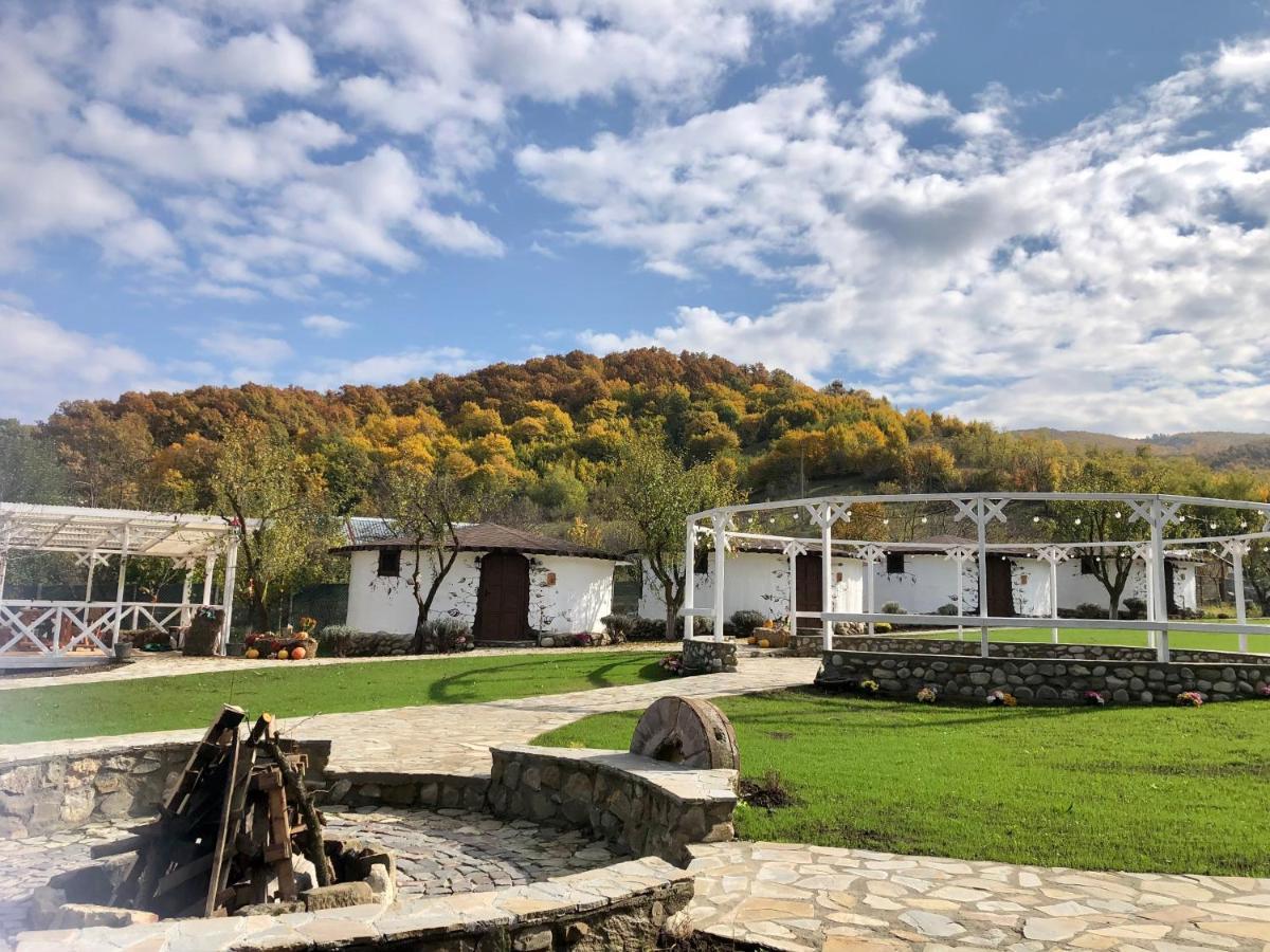 Hôtel Satul Cu Flori à Buzău Extérieur photo